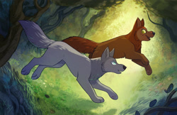 Size: 1280x828 | Tagged: safe, artist:kalaxy, mebh mactire (wolfwalkers), robyn goodfellowe (wolfwalkers), canine, mammal, wolf, feral, cartoon saloon, wolfwalkers, 2022, 2d, blue eyes, brown body, brown fur, duo, duo female, female, females only, fur, gray body, gray fur, green eyes, looking at each other, paw pads, paws, running