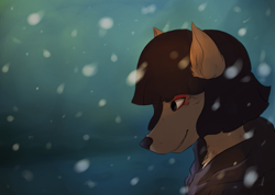 Size: 915x650 | Tagged: safe, artist:sherwind, oc, oc only, canine, mammal, anthro, 2015, clothes, detailed background, fur, gray body, gray fur, hat, headwear, male, side view, smiling, snow, solo, solo male