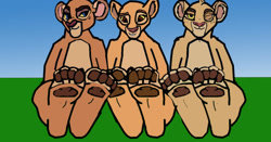 Size: 900x472 | Tagged: safe, artist:rooki3digiart, kiara (the lion king), tiifu (the lion guard), zuri (the lion guard), big cat, feline, lion, mammal, anthro, plantigrade anthro, disney, the lion guard, the lion king, anthrofied, feet, female, fetish, foot fetish, foot focus, lioness, soles, toes