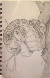Size: 1332x2048 | Tagged: safe, artist:louart, reptile, snake, feral, 2022, ambiguous gender, bedroom eyes, monochrome, sketch, traditional art