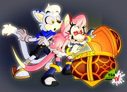 Size: 1012x731 | Tagged: safe, artist:thesheeark, cat, feline, mammal, mustelid, otter, sega, sonic the hedgehog (series), commission, duo, female, male, mystery, treasure