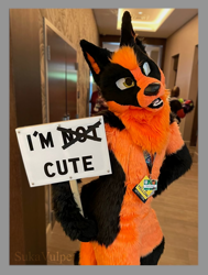 Size: 990x1310 | Tagged: safe, canine, fox, mammal, angry, black, brown, eye, food, fruit, full fursuit, fur, fursuit, green, irl, mouth, nose, orange, photo, photography, sign, words, yellow