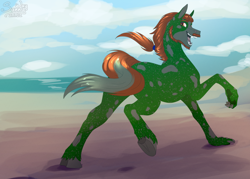 Size: 1400x1000 | Tagged: safe, artist:sunny way, oc, oc only, equine, mammal, pony, feral, friendship is magic, hasbro, my little pony, artwork, beach, commission, cute, digital art, fangs, flat color, happy, male, ocean, paws, running, sharp teeth, solo, solo male, stallion, teeth, water