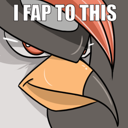 Size: 500x500 | Tagged: suggestive, artist:drawfag159381, bird, fictional species, staraptor, nintendo, pokémon, 1:1, 2011, 2d, ambiguous gender, beak, digital art, english text, feathers, funny, gray background, impact (font), low res, meme, reaction image, red eyes, simple background, solo, text