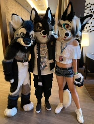 Size: 947x1240 | Tagged: safe, canine, mammal, wolf, black, blue, bottomwear, clothes, crop top, ears, feet, femboy, full body, fullsuit, fursuit, irl, light, lightning, male, mouth, nose, partial suit, paws, photo, photography, shorts, topwear