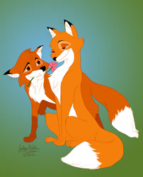 Size: 500x620 | Tagged: safe, artist:drmistytang, tod (the fox and the hound), vixey (the fox and the hound), canine, fox, mammal, red fox, feral, disney, the fox and the hound, 2012, 2d, brown eyes, dipstick tail, duo, duo male and female, female, flower, fur, gradient background, male, male/female, orange body, orange fur, plant, shipping, signature, tail, vixen, vixeytod (the fox and the hound), work in progress