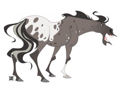 Size: 1280x911 | Tagged: safe, artist:faithandfreedom, equine, horse, mammal, feral, 2d, ambiguous gender, appaloosa, open mouth, simple background, solo, solo ambiguous, white background