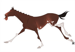 Size: 1280x897 | Tagged: safe, artist:faithandfreedom, equine, horse, mammal, feral, 2d, ambiguous gender, eyes closed, side view, simple background, smiling, solo, solo ambiguous, thoroughbred, trotting, ungulate, white background