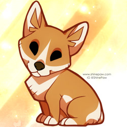 Size: 800x800 | Tagged: safe, artist:shinyshine, canine, corgi, dog, mammal, feral, 2d, ambiguous gender, cute, looking at you, solo, solo ambiguous