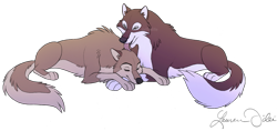 Size: 1303x613 | Tagged: safe, artist:daffodile, aleu (balto), taku (balto), canine, dog, hybrid, mammal, wolf, wolfdog, feral, balto (series), 2014, 2d, duo, duo male and female, female, licking, male, signature, simple background, tongue, tongue out, transparent background