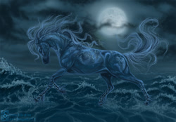 Size: 809x562 | Tagged: safe, artist:shinigamigirl, oc, oc only, equine, horse, mammal, feral, 2006, ambiguous gender, blue body, blue fur, blue hair, blue tail, cloud, detailed, detailed background, digital art, digital painting, fur, hair, moon, night, ocean, side view, solo, solo ambiguous, tail, water