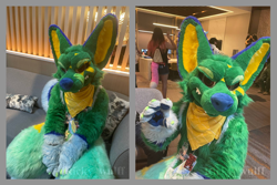 Size: 1800x1200 | Tagged: safe, canine, mammal, wolf, anthro, bandanna, blue, clothes, couch, cute, ears, fullsuit, fur, fursuit, green body, green fur, irl, licking, licking lips, paw pads, paws, photo, picture, sitting, tongue, tongue out