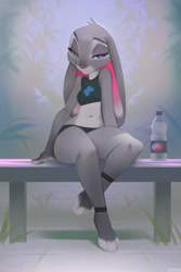 Size: 666x1000 | Tagged: safe, artist:miles-df, judy hopps (zootopia), lagomorph, mammal, rabbit, anthro, digitigrade anthro, disney, zootopia, 2022, bedroom eyes, belly button, breasts, clothes, digital art, ears, eyelashes, female, fur, pink nose, sitting, solo, solo female, sports bra, sports panties, tail, thighs, topwear, water bottle, wide hips
