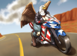 Size: 2251x1637 | Tagged: safe, artist:toughset, oc, oc only, bald eagle, bird, bird of prey, eagle, anthro, 2022, big breasts, blue eyes, boots, bottomwear, breasts, cleavage, clothes, feathered wings, feathers, female, glistening, jacket, knee pads, motorcycle, pants, road, shoes, solo, solo female, stars and stripes, topwear, united states of america, vehicle, wings
