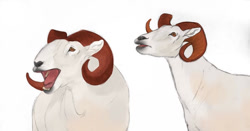 Size: 1222x640 | Tagged: safe, artist:persialeo, bovid, caprine, mammal, sheep, feral, lifelike feral, brother bear, disney, duo, duo male, male, males only, non-sapient, ram, realistic, simple background, ungulate, white background