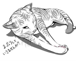 Size: 500x404 | Tagged: safe, artist:daigatsukune, cat, feline, mammal, feral, 2010, ambiguous gender, digital art, fur, grayscale, japanese text, low res, lying down, monochrome, one eye closed, paw pads, paws, simple background, solo, solo ambiguous, striped fur, text, translation request, whiskers, white background