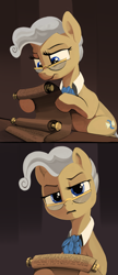 Size: 2500x5770 | Tagged: safe, artist:dimfann, mayor mare (mlp), earth pony, equine, fictional species, mammal, pony, friendship is magic, hasbro, my little pony, confused, copypasta, eyebrows, female, frowning, glasses, high res, holding, hoof hold, hooves, implied trixie, lidded eyes, looking at you, mare, meme, navy seal copypasta, raised eyebrow, reaction, reaction image, reading, samuel johnson, scroll, solo, solo female, vulgar, what the fuck am i reading