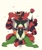 Size: 3103x3719 | Tagged: safe, artist:mugikoujial, feline, fictional species, incineroar, mammal, meowscarada, nintendo, pokémon, spoiler:pokémon gen 9, spoiler:pokémon scarlet and violet, 2022, ambiguous gender, ambiguous only, digital art, duo, duo ambiguous, eyes closed, fangs, flower, flower crown, front view, fur, green body, green eyes, green fur, looking at you, plant, red body, red fur, sharp teeth, signature, simple background, sitting, sitting on lap, smiling, starter pokémon, striped arms, striped fur, teeth, white background