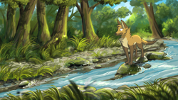 Size: 1920x1080 | Tagged: safe, artist:theroguez, oc, oc only, oc:rayj (theroguez), canine, coydog, coyote, dog, hybrid, mammal, feral, 2020, 2d, brown body, brown fur, ears, female, fur, outdoors, paws, river, rock, smiling, solo, solo female, tail, water