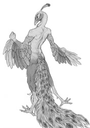 Size: 905x1280 | Tagged: safe, artist:silgiriya, bird, galliform, peafowl, anthro, beak, feathers, long tail, looking at you, looking back, looking back at you, male, solo, solo male, tail, tail feathers, winged arms