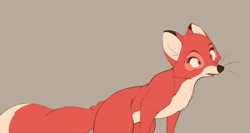 Size: 600x320 | Tagged: safe, artist:tohupony, vixey (the fox and the hound), canine, fox, mammal, red fox, feral, disney, the fox and the hound, 2022, 2d, 2d animation, animated, female, frame by frame, solo, solo female, tan background, tongue, vixen