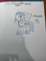 Size: 1200x1600 | Tagged: safe, artist:ryuko21981, everest (paw patrol), equine, fictional species, mammal, pegasus, pony, feral, hasbro, my little pony, nickelodeon, paw patrol, clothes, crossover, female, hat, headwear, irl, jacket, mare, photo, photographed artwork, ponified, topwear, traditional art