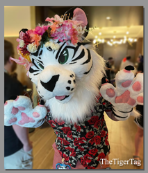 Size: 1088x1275 | Tagged: safe, big cat, feline, mammal, tiger, convention, flower, fursuit, irl, paw pads, paws, photo, plant