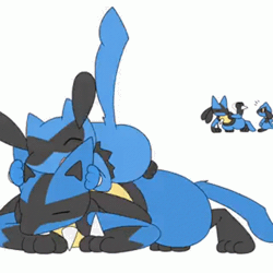 Size: 498x498 | Tagged: safe, artist:tontaro, fictional species, lucario, mammal, riolu, feral, nintendo, pokémon, 1:1, 2d, 2d animation, ambiguous gender, ambiguous only, animated, digital art, duo, duo ambiguous, ears, eyes closed, fur, gif, hair, low res, open mouth, paws, piggyback ride, simple background, tail, tongue, white background, workout