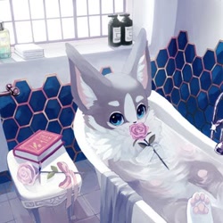 Size: 400x400 | Tagged: safe, artist:yuki_sheno, oc, oc only, canine, mammal, semi-anthro, 1:1, 2019, ambiguous gender, bath, bathroom, blue eyes, book, cute, detailed background, digital art, digital painting, floor, flower, fur, gray body, gray fur, holding, holding object, low res, lying down, on back, partially submerged, paw pads, pink paw pads, pink rose, plant, rose, solo, solo ambiguous, wall, water, white body, white fur, window