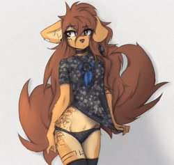 Size: 2722x2577 | Tagged: safe, artist:tinygaypirate, oc, oc:apogee (tinygaypirate), canine, dog, mammal, anthro, belly button, breasts, clothes, female, looking away, panties, solo, solo female, thick thighs, thighs, underwear, wide hips