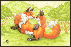Size: 900x596 | Tagged: safe, artist:dolphiana, canine, fox, mammal, red fox, feral, 2d, ambiguous gender, belly fluff, cuddling, cute, dipstick tail, duo, duo ambiguous, ear fluff, fluff, forest, fur, gray paw pads, head fluff, hug, neck fluff, orange body, orange fur, paw pads, paws, plant, signature, tail, tail fluff, traditional art, tree, yellow eyes