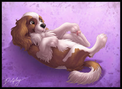 Size: 800x582 | Tagged: safe, artist:dolphiana, canine, cavalier king charles spaniel, dog, mammal, spaniel, feral, 2010, 2d, belly fluff, brown eyes, butt fluff, cheek fluff, chest fluff, cute, ear fluff, female, fluff, fur, lying down, multicolored body, multicolored fur, on back, paw pads, paws, pink paw pads, signature, solo, solo female, two toned body, two toned fur, white belly