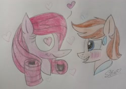 Size: 3852x2728 | Tagged: safe, artist:muhammad yunus, oc, oc only, oc:annisa trihapsari, oc:seb the pony, earth pony, equine, fictional species, mammal, pegasus, pony, feral, friendship is magic, hasbro, my little pony, blushing, duo, female, heart, heart eyes, male, male/female, mare, signature, simple background, smiling, stallion, sweat, traditional art, wingding eyes