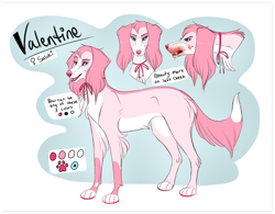 Size: 1280x1000 | Tagged: safe, artist:pinky-poodle, oc, oc only, oc:valentine (pinky-poodle), canine, dog, mammal, saluki, feral, blood, female, reference sheet, solo, solo female