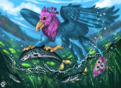 Size: 5200x3779 | Tagged: safe, artist:flashlioness, oc, oc:gyro feather, oc:gyro feather (gryphon), bird, feline, fictional species, fish, galliform, gryphon, mammal, peacock gryphon, peafowl, feral, beak, bird feet, blue body, blue feathers, blue fur, claws, feathered wings, feathers, fur, male, purple feathers, tail, tail tuft, water, wings