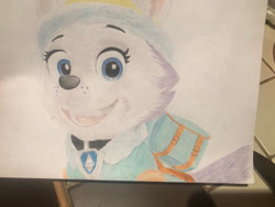 Size: 400x300 | Tagged: safe, artist:schufflez4380, everest (paw patrol), canine, dog, husky, mammal, feral, nickelodeon, paw patrol, clothes, ears, female, hat, headwear, irl, jacket, low res, photo, photographed artwork, solo, solo female, tail, topwear, traditional art