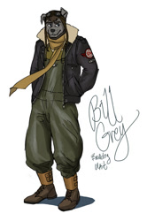 Size: 598x900 | Tagged: safe, artist:ninanai, bill grey (star fox), bulldog, anthro, nintendo, star fox, bomber jacket, clothes, flight cap, goggles, goggles on head, hands in pockets, jacket, male, overalls, scarf, simple background, solo, solo male, topwear