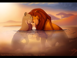 Size: 955x717 | Tagged: safe, artist:dj88, mufasa (the lion king), sarabi (the lion king), big cat, feline, lion, mammal, feral, disney, the lion king, duo, female, lioness, male, male/female, partially submerged