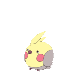 Size: 720x720 | Tagged: safe, artist:garbageofeden, bird, cockatiel, cockatoo, parrot, feral, 2d, 2d animation, ambiguous gender, animated, flying, frame by frame, gif, simple background, solo, solo ambiguous, transparent background