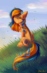 Size: 1824x2798 | Tagged: safe, alternate version, artist:yuris, oc, oc only, oc:ukraine, earth pony, equine, fictional species, mammal, pony, feral, hasbro, my little pony, braid, cute, field, flower, flower in hair, good end, hair, hair accessory, nation ponies, plant, ponified, smiling, solo, ukraine