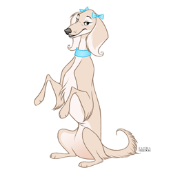 Size: 1258x1267 | Tagged: safe, artist:faithandfreedom, canine, dog, mammal, saluki, feral, 2d, bow, collar, female, front view, hair bow, simple background, solo, solo female, three-quarter view, white background