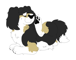 Size: 4800x3800 | Tagged: safe, artist:toonidae, canine, cavalier king charles spaniel, dog, mammal, spaniel, feral, 2d, absurd resolution, ambiguous gender, front view, mix breed, paw pads, paws, sheepdog, shetland sheepdog, simple background, solo, solo ambiguous, three-quarter view, white background