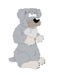 Size: 3280x4312 | Tagged: safe, artist:toonidae, canine, dog, mammal, terrier, feral, 2d, ambiguous gender, front view, glen of imaal terrier, simple background, solo, solo ambiguous, three-quarter view, white background
