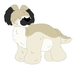 Size: 6560x5840 | Tagged: safe, artist:toonidae, canine, dog, mammal, feral, 2d, ambiguous gender, briard, front view, simple background, solo, solo ambiguous, three-quarter view, white background
