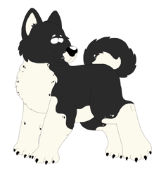 Size: 5968x6328 | Tagged: safe, artist:toonidae, canine, dog, husky, mammal, feral, 2d, absurd resolution, ambiguous gender, front view, looking at you, sakhalin husky, simple background, solo, solo ambiguous, three-quarter view, white background