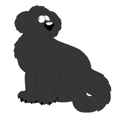 Size: 5864x5800 | Tagged: safe, artist:toonidae, canine, dog, mammal, feral, 2d, absurd resolution, ambiguous gender, front view, looking at you, newfoundland (dog), simple background, solo, solo ambiguous, three-quarter view, white background
