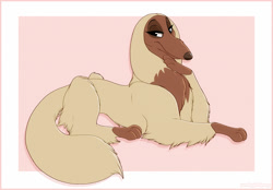 Size: 1350x940 | Tagged: safe, artist:prettypinkpony, sylvie (balto), afghan hound, canine, dog, mammal, feral, balto (series), 2d, brown body, brown fur, female, front view, fur, looking at you, solo, solo female, three-quarter view