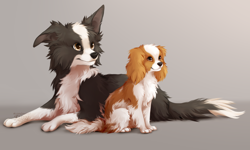 Size: 2500x1500 | Tagged: safe, artist:reysi, border collie, canine, cavalier king charles spaniel, collie, dog, mammal, spaniel, feral, 2d, duo, pirate (yoko and pirate), yoko (yoko and pirate), yoko and pirate