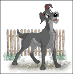 Size: 891x900 | Tagged: safe, artist:velvet-loz, tramp (lady and the tramp), canine, dog, mammal, feral, disney, lady and the tramp, 2009, fence, male, schnauzer, solo, solo male