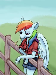 Size: 1536x2048 | Tagged: safe, artist:catscratchpaper, rainbow dash (mlp), equine, fictional species, mammal, pegasus, pony, anthro, friendship is magic, hasbro, my little pony, 2021, anthrofied, bottomwear, clothes, feathered wings, feathers, female, fence, mare, shirt, shorts, smiling, solo, solo female, straw in mouth, tail, topwear, wings